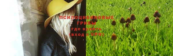 каннабис Абаза