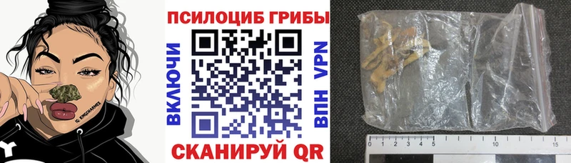 Галлюциногенные грибы MAGIC MUSHROOMS  Микунь 